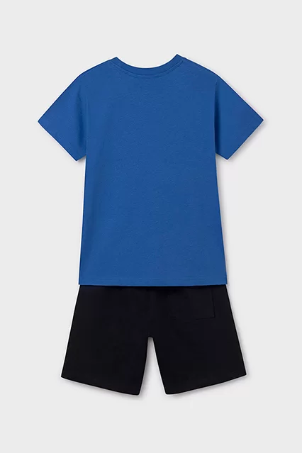 Conjunto bermuda e t-shirt palmeira rapaz - undefined