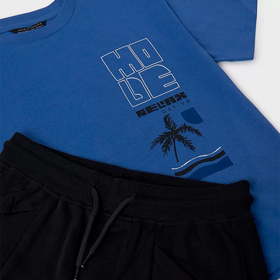 Conjunto bermuda e t-shirt palmeira rapaz - undefined