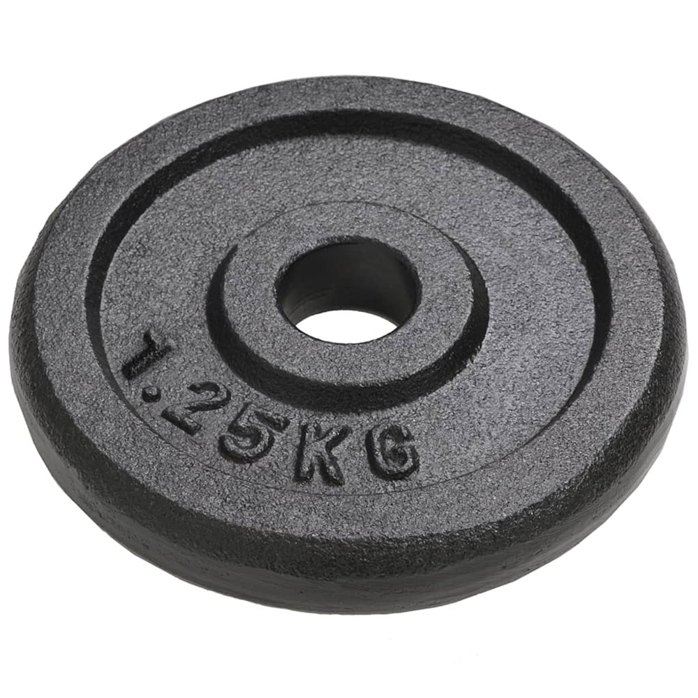Iron Discs - 25mm (Pair) - YourFit Equipment