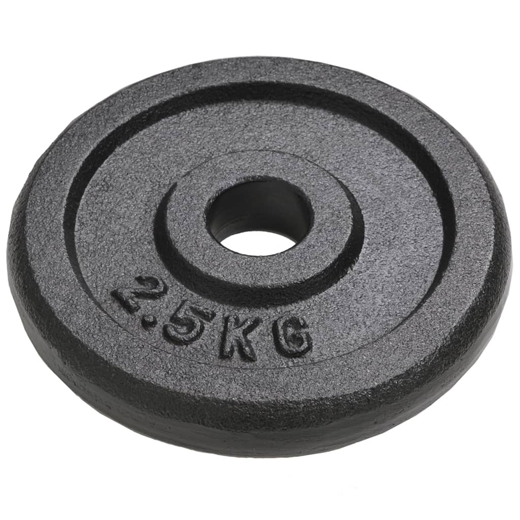 Iron Discs - 25mm (Pair) - YourFit Equipment